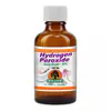 Willow Hydrogen Peroxide 35percent FG 100ml Tincture